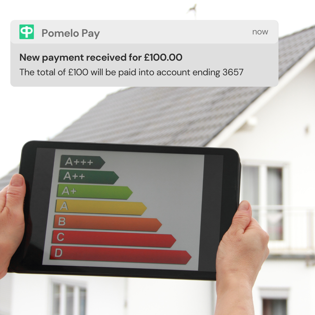 How this business owner uses Pomelo Pay to get paid instantly